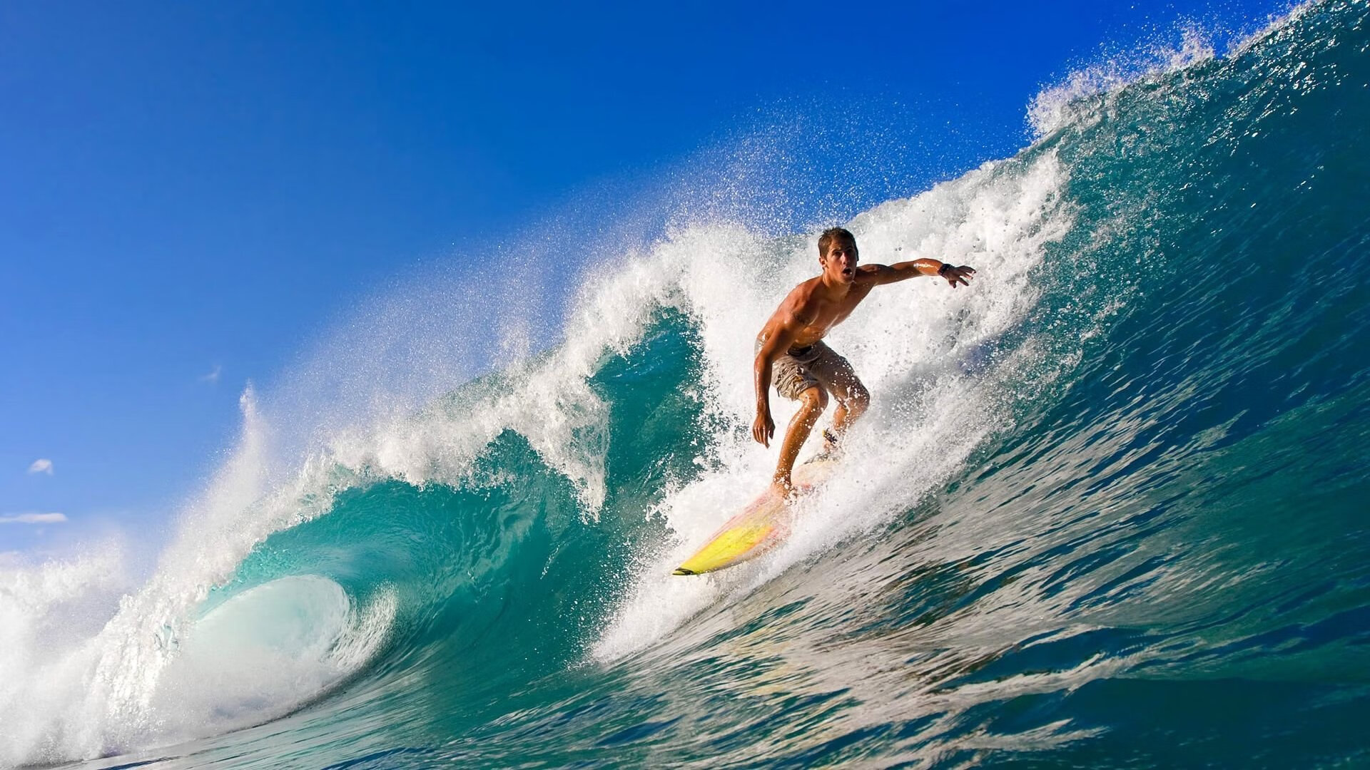 爱游戏ayx-高台跳水选手动作协调 稳定性佳，高台跳水动作名称